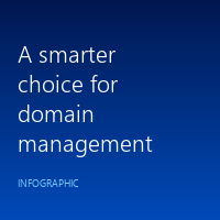 Domain Management Infographic