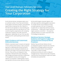 Top-Level Domain Advisory Services